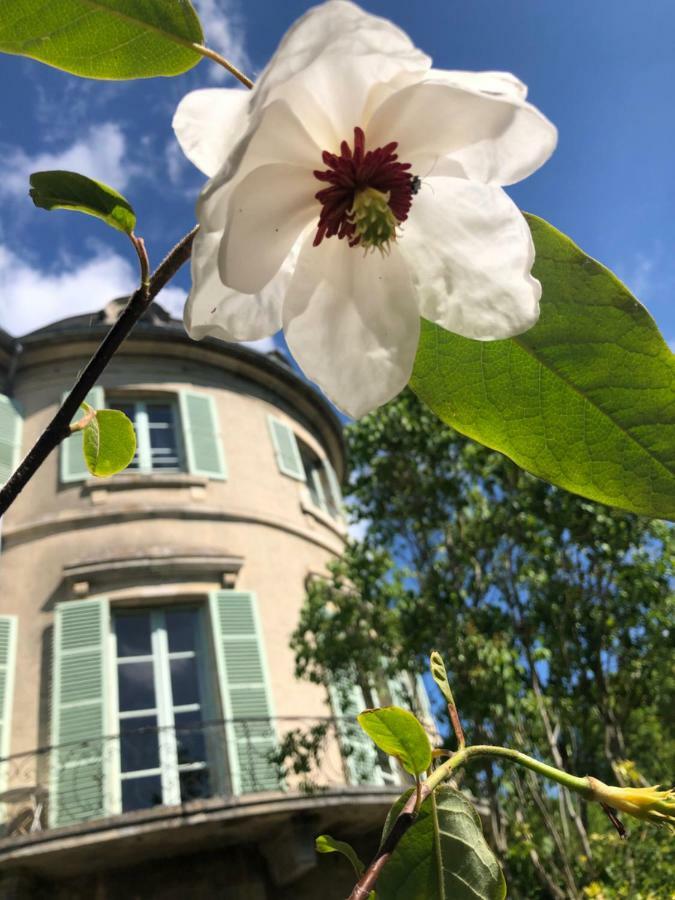 Castel Saint-Leonard Bed & Breakfast Falaise  Dış mekan fotoğraf